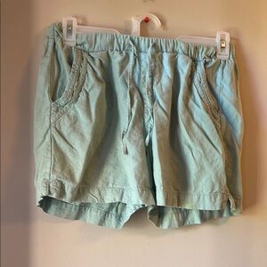 Briggs Light tealish Casual Shorts